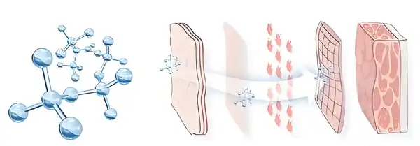 product-1-1 product-1-1