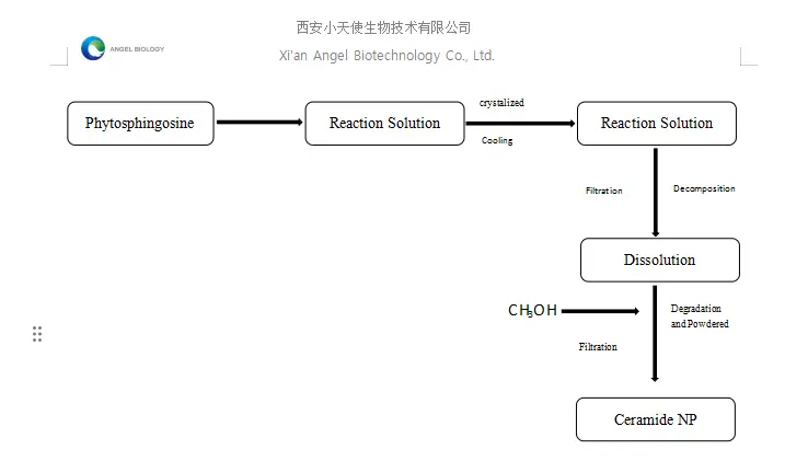 product-1-1 product-1-1