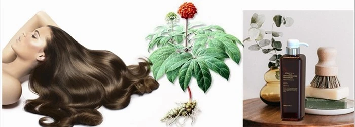 product-1-1 product-1-1