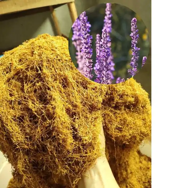 product-1-1 product-1-1