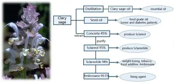 product-1-1 product-1-1