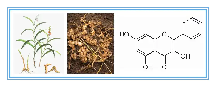 product-1-1 product-1-1