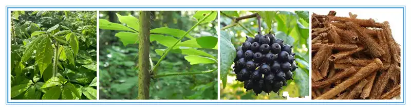 product-1-1 product-1-1