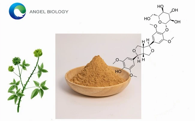 product-1-1 product-1-1