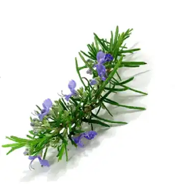 product-1-1 product-1-1