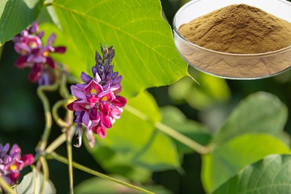 product-1-1 product-1-1