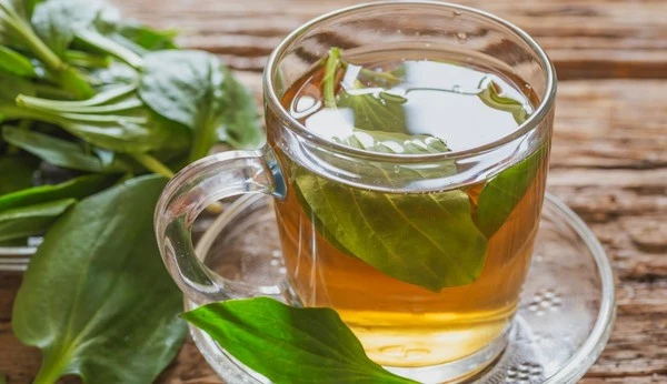 product-1-1 product-1-1