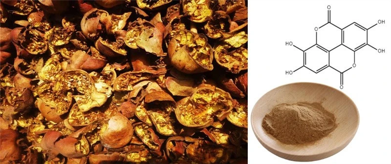 product-1-1 product-1-1