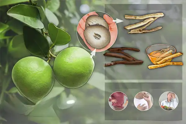 product-1-1 product-1-1