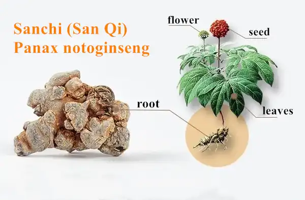 product-1-1 product-1-1