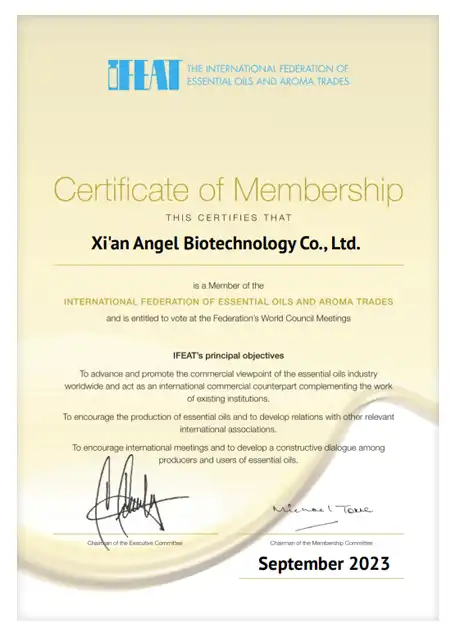 baiduimg.webp baiduimg.webp