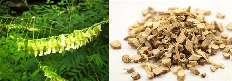 product-1-1 product-1-1