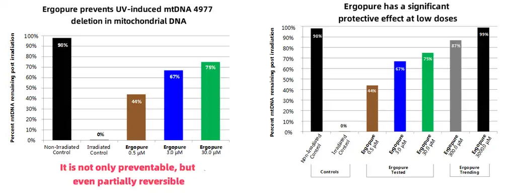 product-1-1 product-1-1