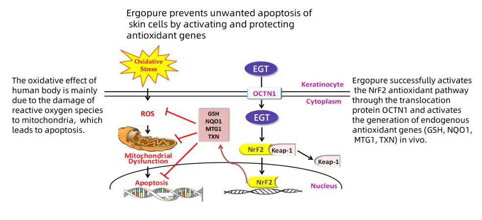product-1-1 product-1-1