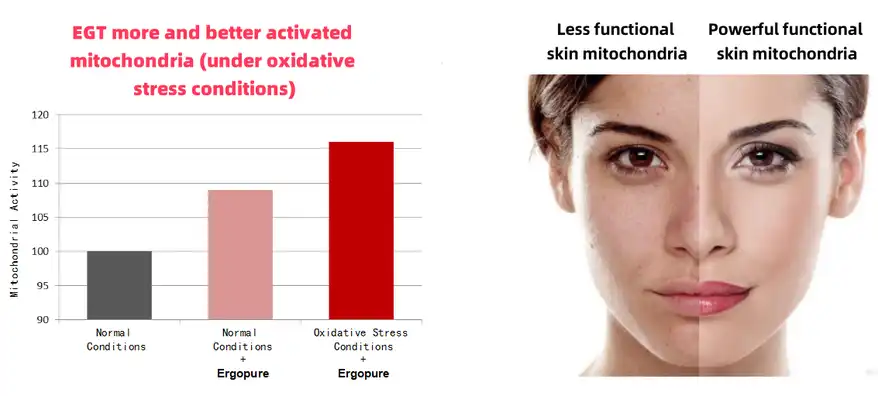 blog-1-1 product-1-1