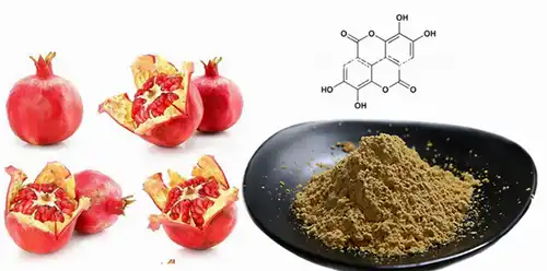 product-1-1 product-1-1