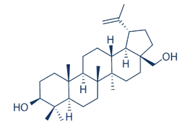 product-1-1 product-1-1