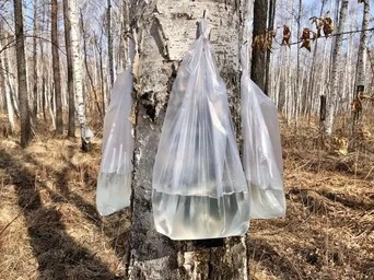 product-1-1 product-1-1