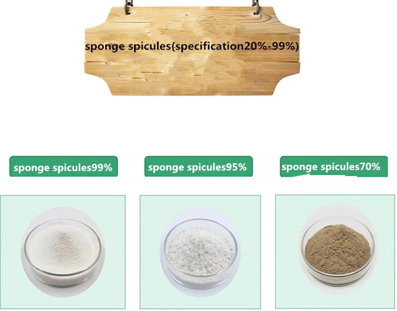 product-1-1 product-1-1