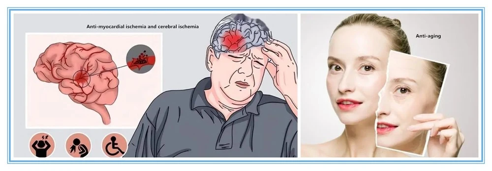 product-1-1 product-1-1