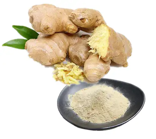 product-1-1 product-1-1