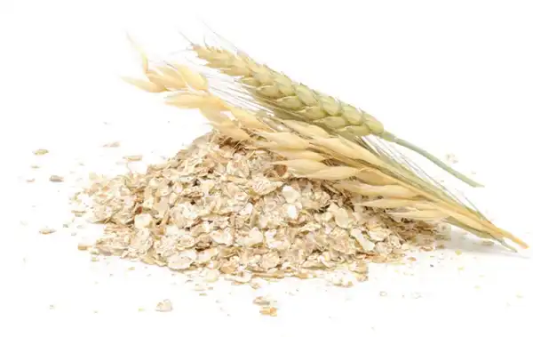 product-1-1 product-1-1