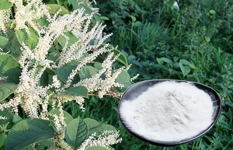 product-1-1 product-1-1