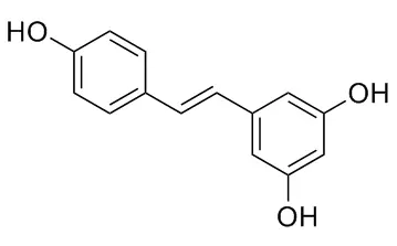 product-1-1 product-1-1