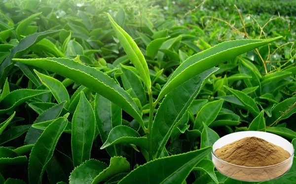 product-1-1 product-1-1