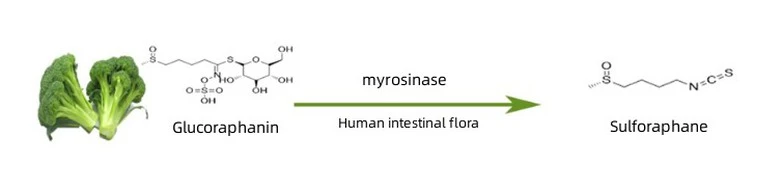 product-1-1 product-1-1