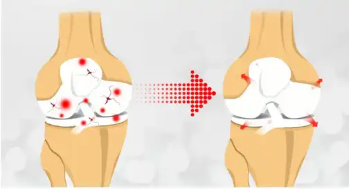 product-1-1 product-1-1