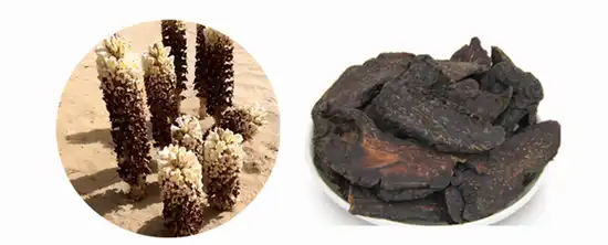 product-1-1 product-1-1