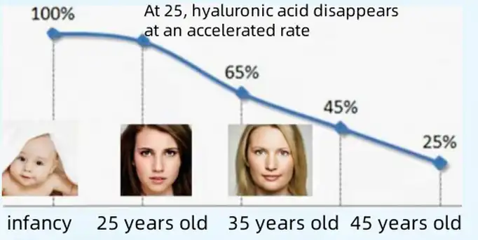 produktua-1-1 produktua-1-1