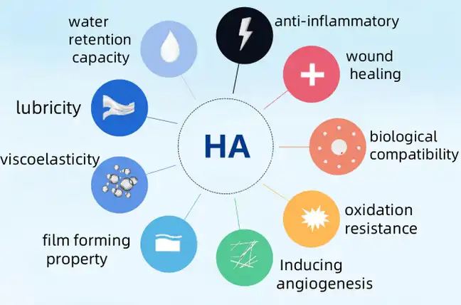produktua-1-1 produktua-1-1