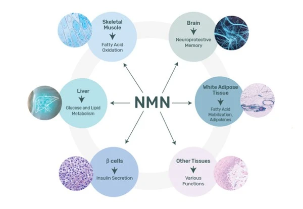 product-1-1 product-1-1