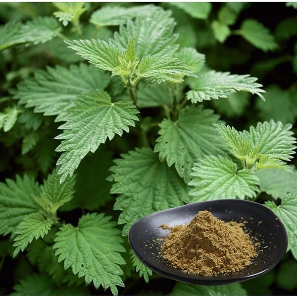 product-1-1 product-1-1