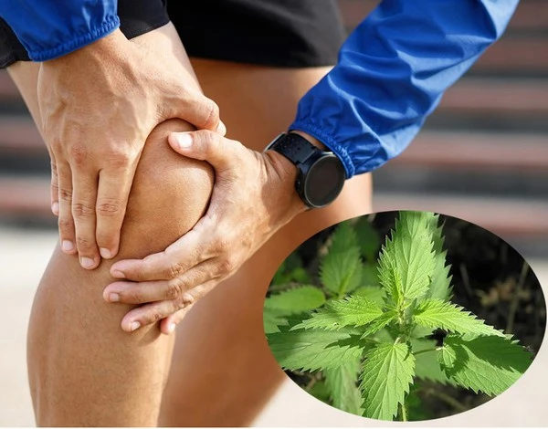 product-1-1 product-1-1