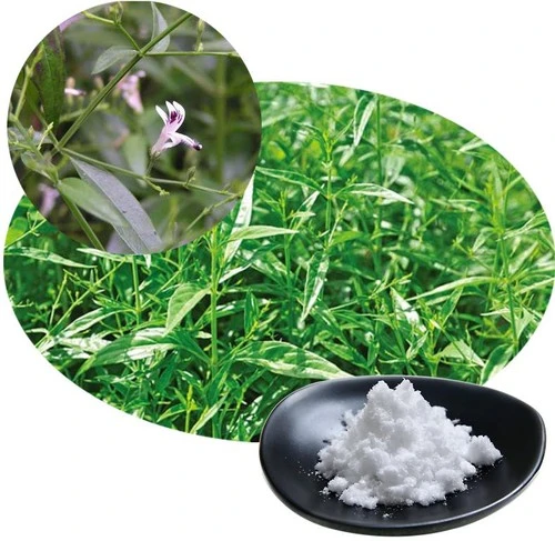 product-1-1 product-1-1