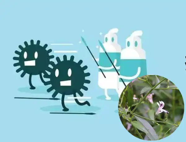 product-1-1 product-1-1