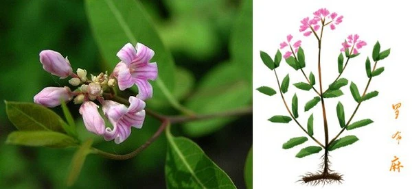 продукт-1-1 продукт-1-1