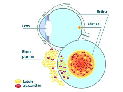 продукт-1-1 продукт-1-1