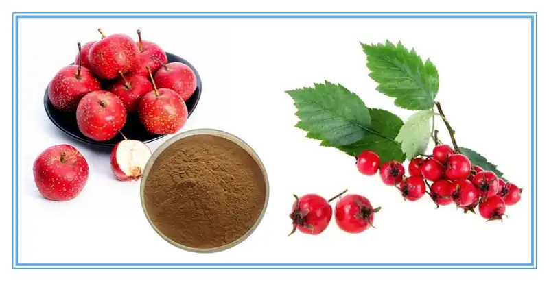 product-1-1 product-1-1