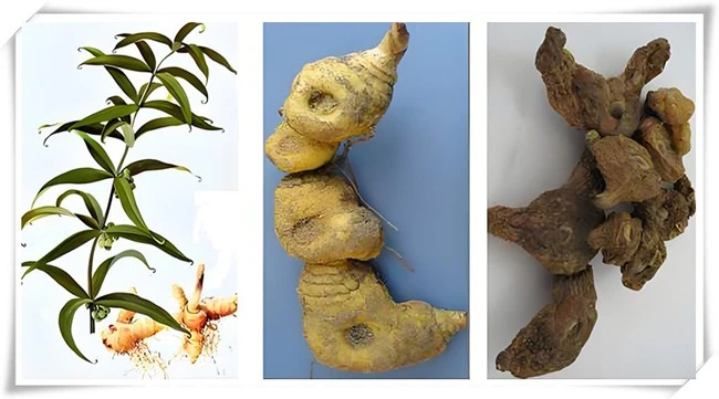 product-1-1 product-1-1