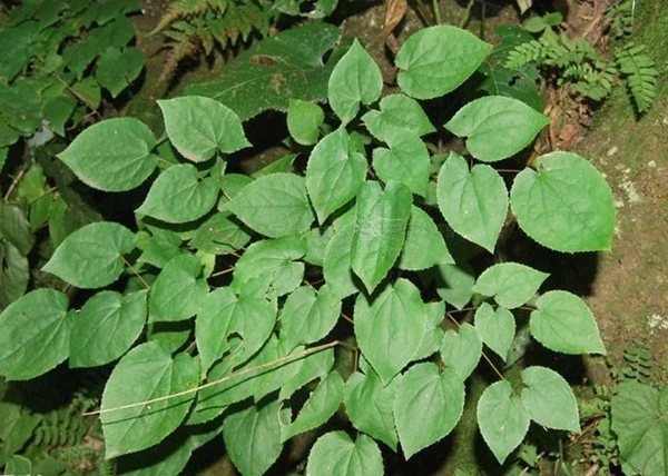 product-1-1 product-1-1