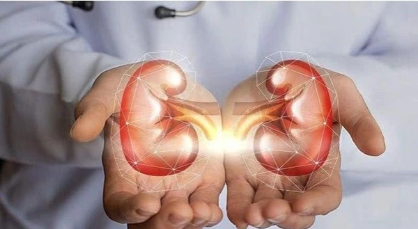 product-1-1 product-1-1