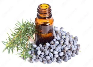 продукт-1-1 продукт-1-1