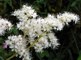 продукт-1-1 продукт-1-1