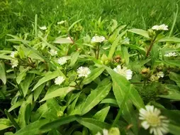 product-1-1 product-1-1