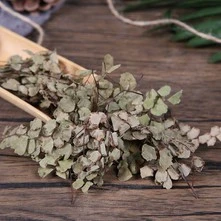 product-1-1 product-1-1