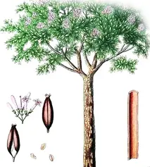 product-1-1 product-1-1